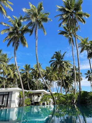 Outdoor pool, pool umbrellas, sun loungers - Mandala Villas (Rekawa)