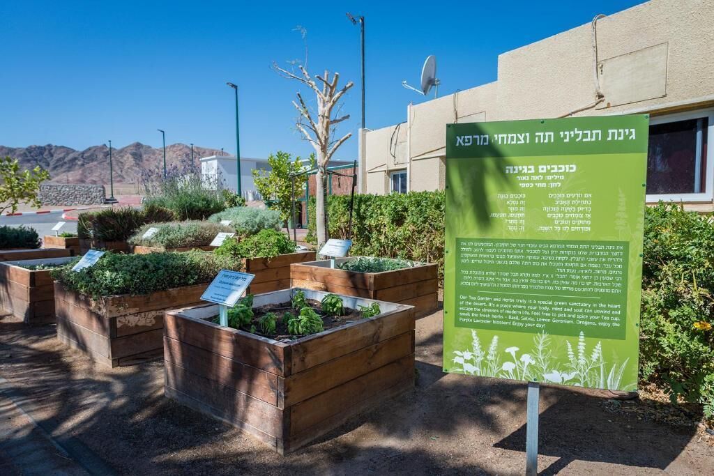 Un jardín con camas elevadas y un cartel.