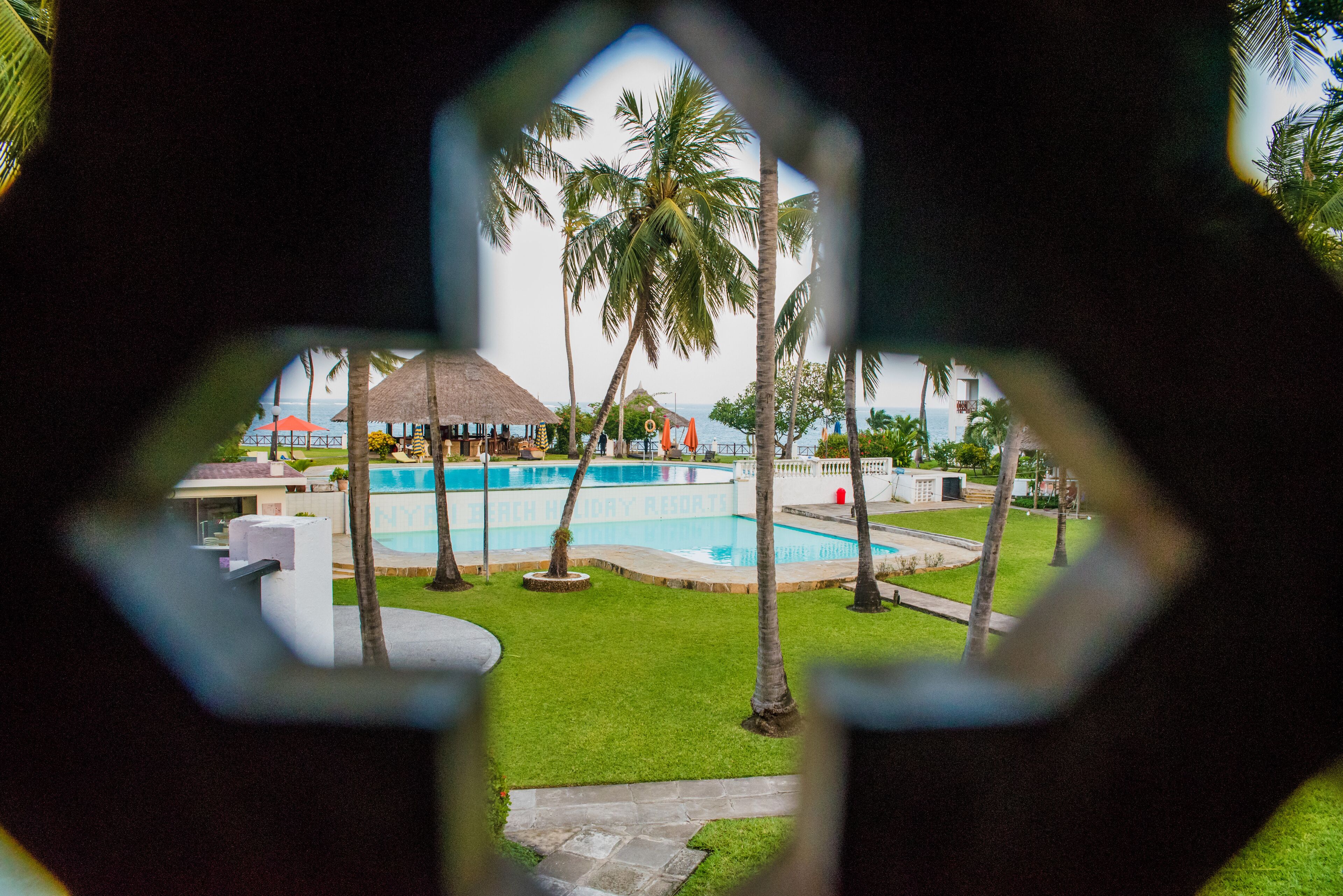 Zona de piscina con palmeras, una estructura de techo de paja y vistas al océano.