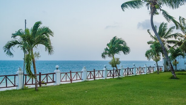 A coastal view with a fence, palm trees, and a clear sky. - Nyali Beach Holiday Resort (Mombasa)