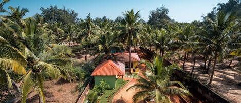 A tropical resort with a small building surrounded by palm trees and a dirt path.