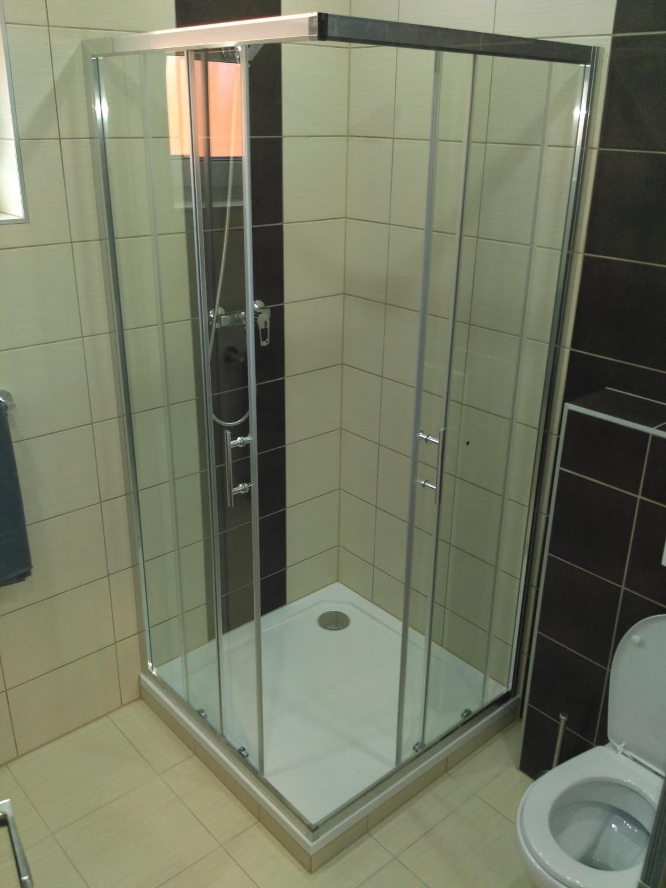 A glass-enclosed shower stall with a white floor, a visible showerhead, and a toilet to the right.