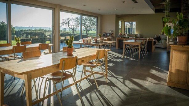 Un comedor amplio con ventanas grandes, mesas y sillas de madera, y plantas en macetas.