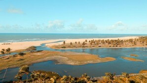 Een kustlandschap met een strand, palmbomen en een waterlichaam.