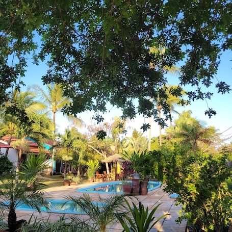 Outdoor pool, sun loungers