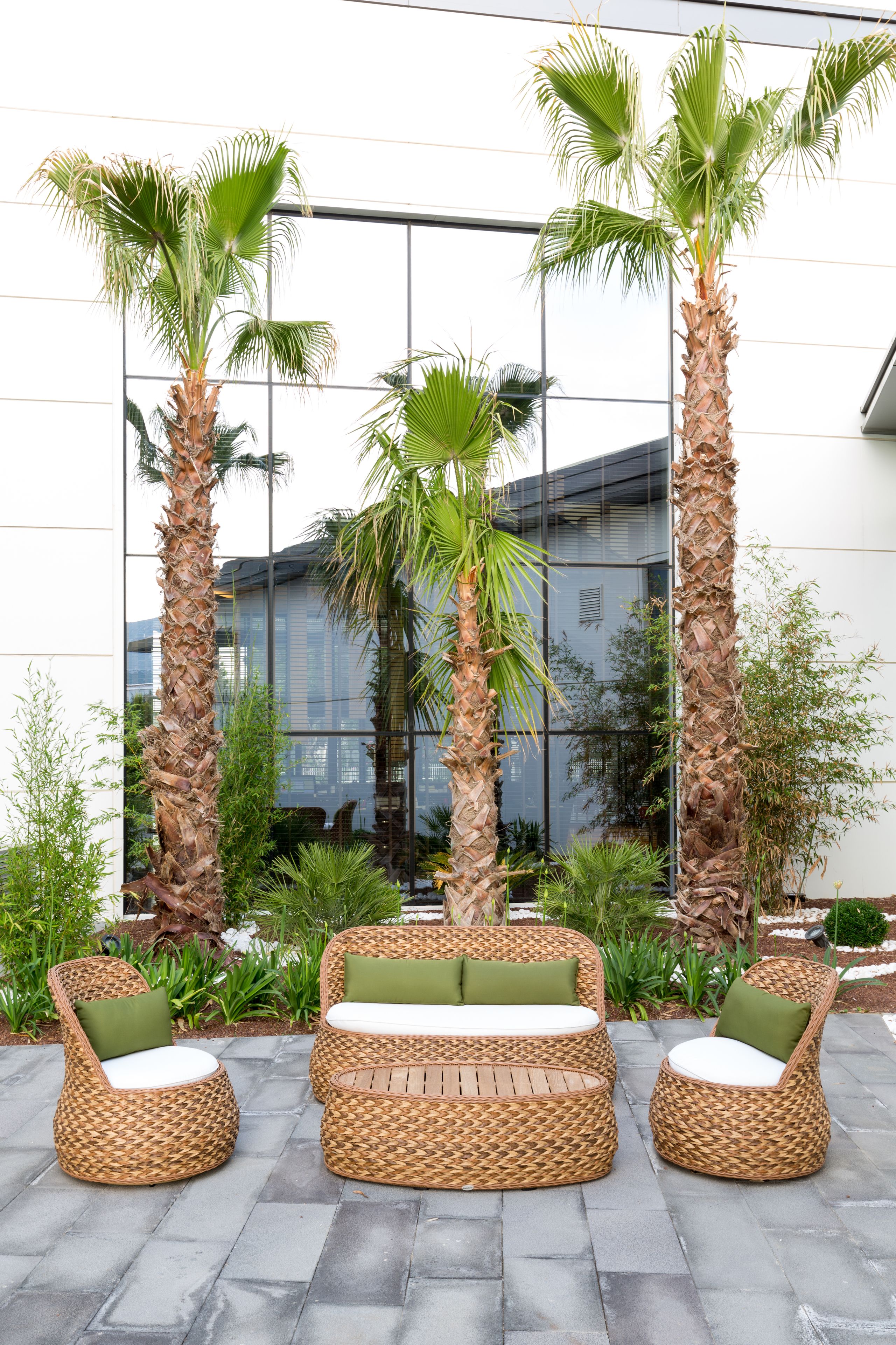 テラス / パティオ