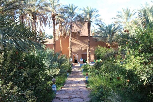 Un chemin menant à un bâtiment entouré de palmiers et de verdure.