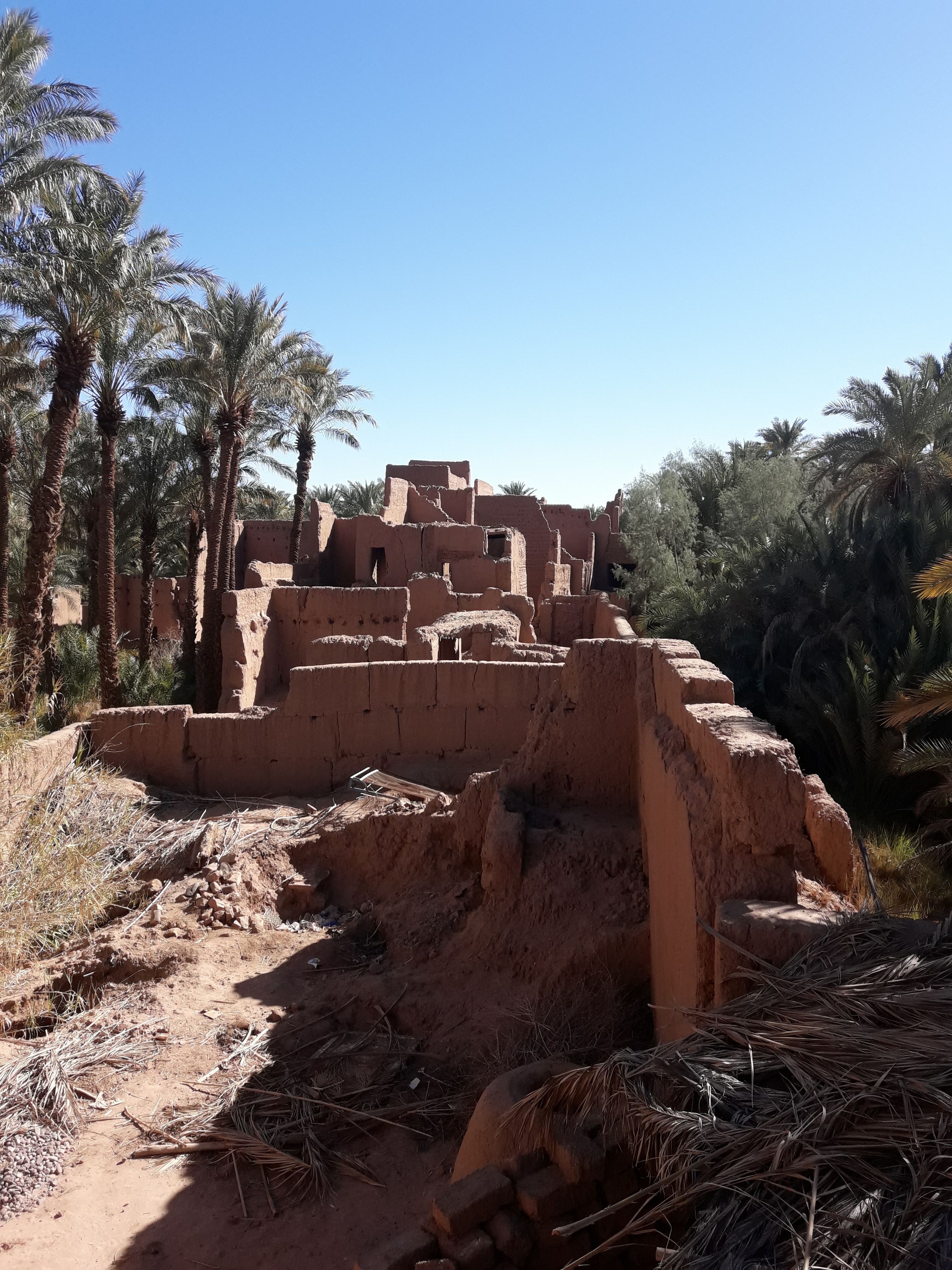 Ruinas antiguas con varios niveles y un paisaje de palmeras circundante.