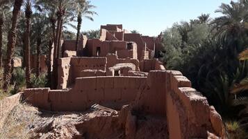 Ruinas antiguas con varios niveles y un paisaje de palmeras circundante.