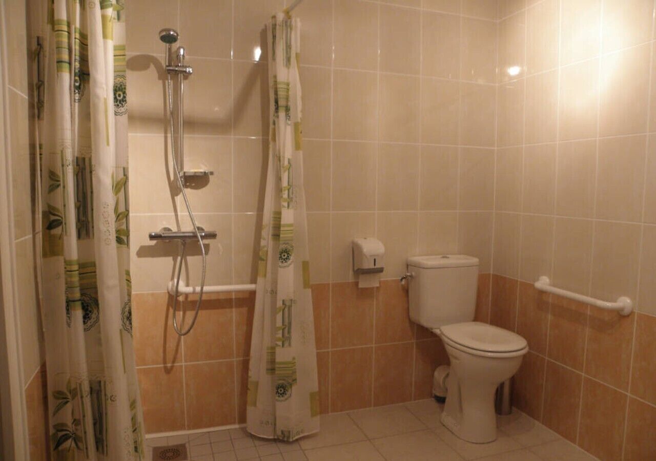 A bathroom with a shower, toilet, and handrails.