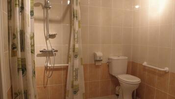 A bathroom with a shower, toilet, and handrails.