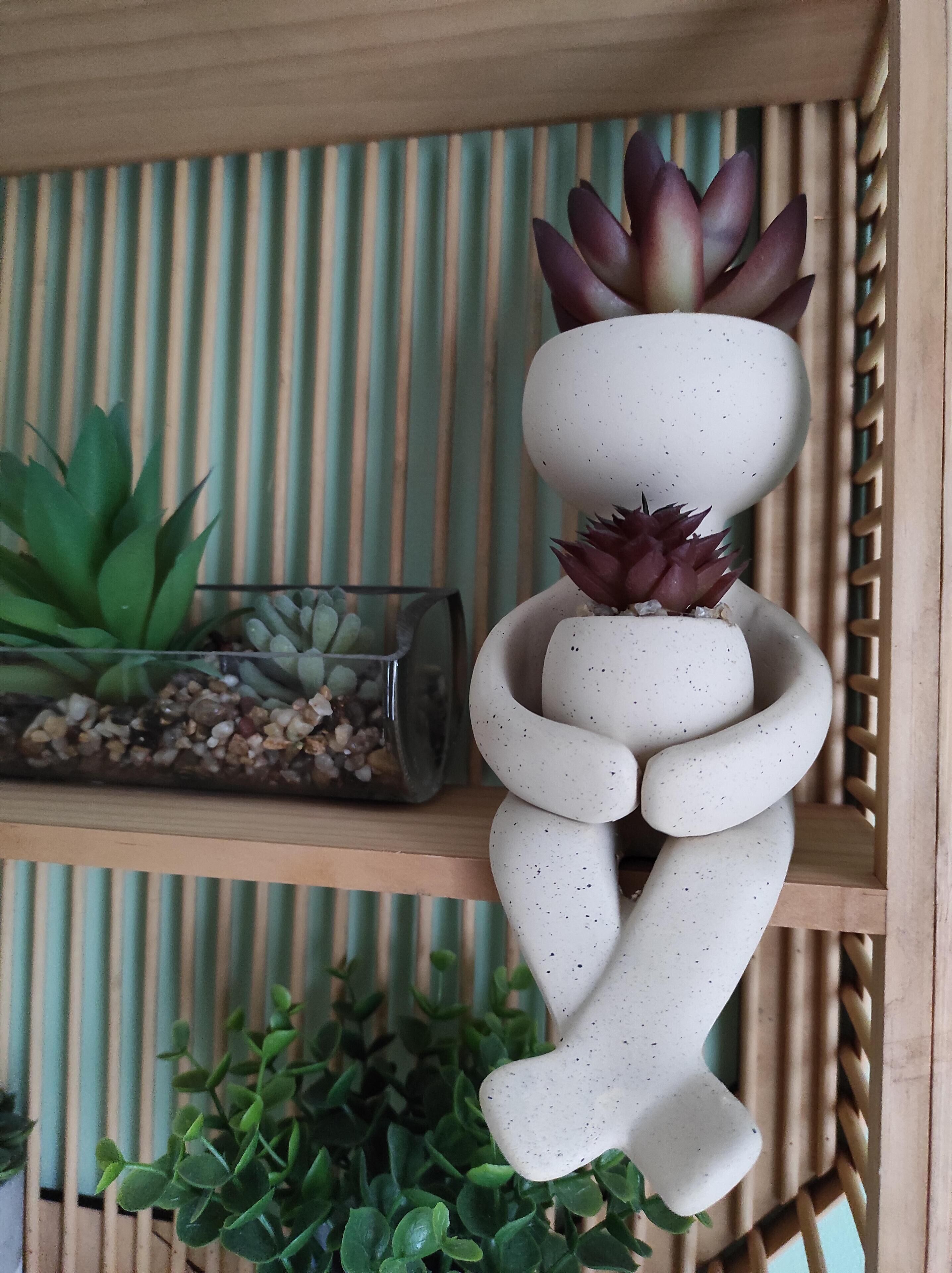 Een wandplank met verschillende planten, waaronder vetplanten en een glazen terrarium.