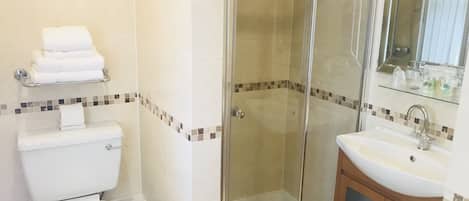 A bathroom with a toilet, a glass-enclosed shower, and a sink with a mirror above it.