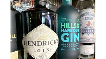 Variedad de botellas de ginebra, incluyendo Hendrick's Gin y Hills & Harbour Gin, sobre una estantería.