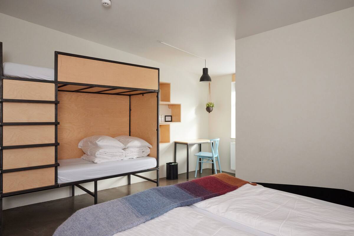 A dorm-style room with bunk beds, a desk, a chair, and a hanging plant.