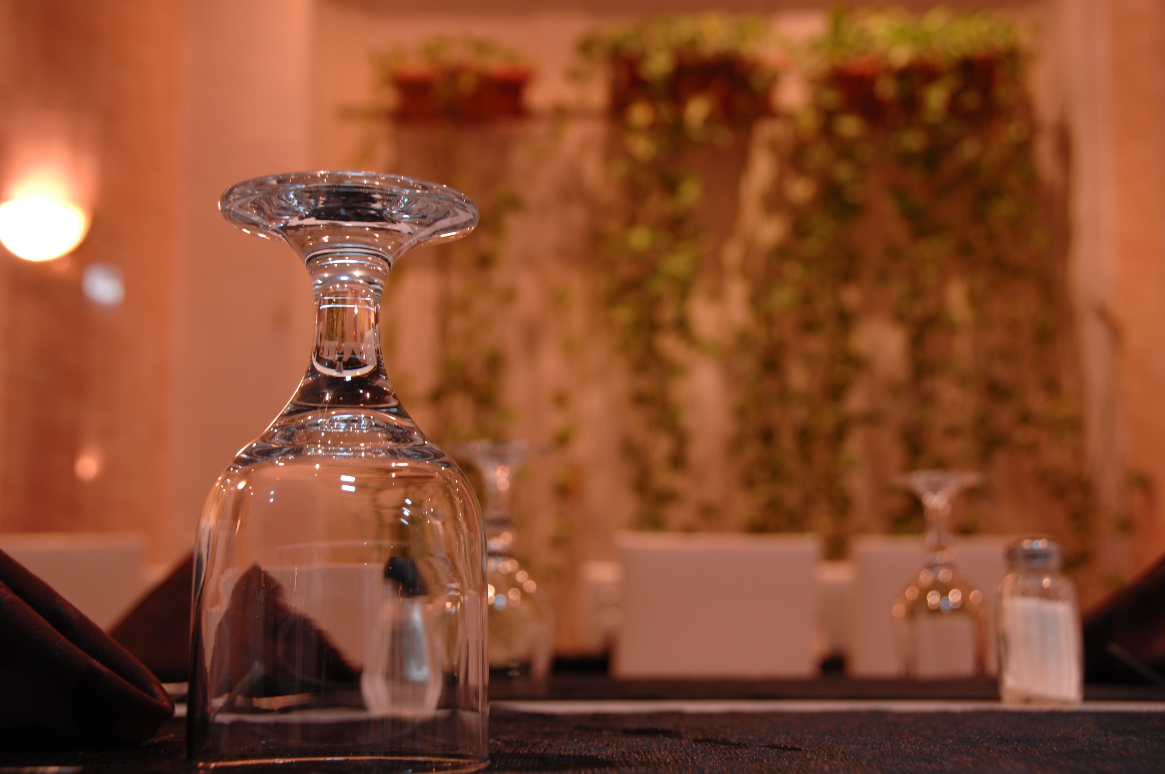 A clear glass bottle on a table with a blurred background of a wall with greenery and a light source.