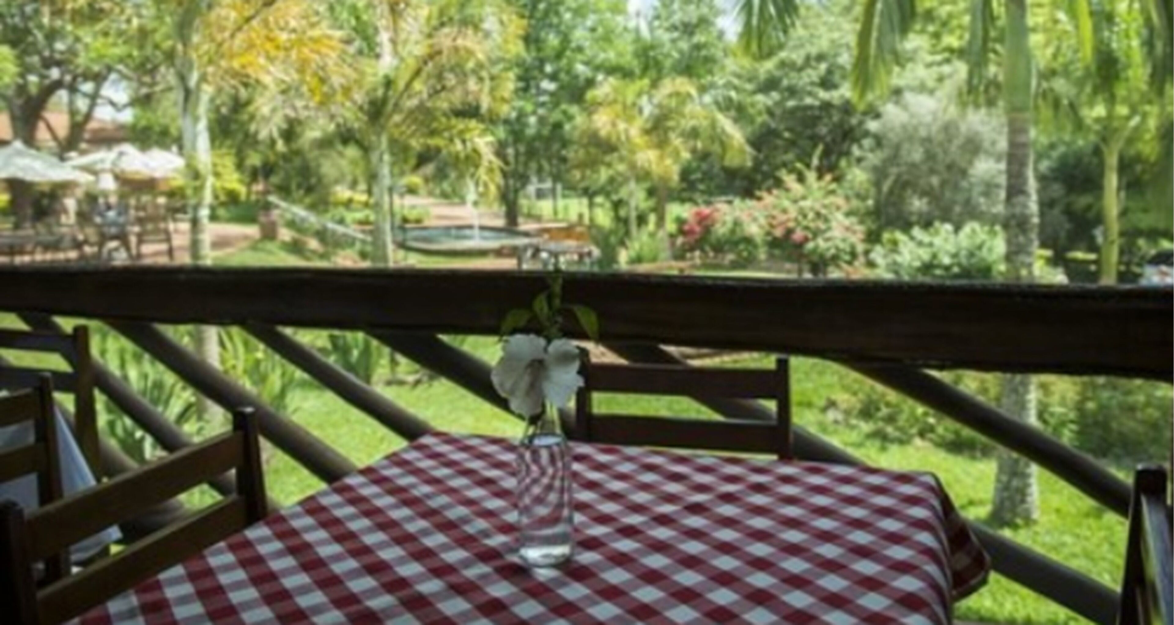 A table with a checkered tablecloth, a vase with flowers, and a view of a lush garden with trees and a fountain.