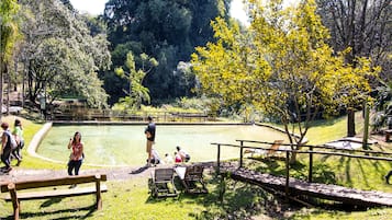 Alberca techada, alberca al aire libre y sombrillas en la alberca