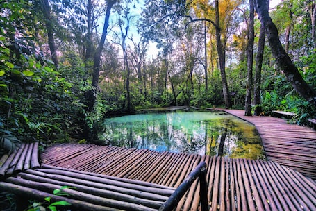 Ecotours. Hotel Fazenda Areia que Canta