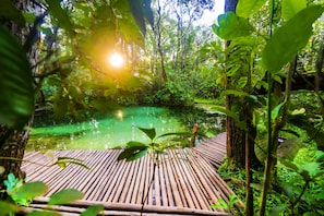 Ecotours