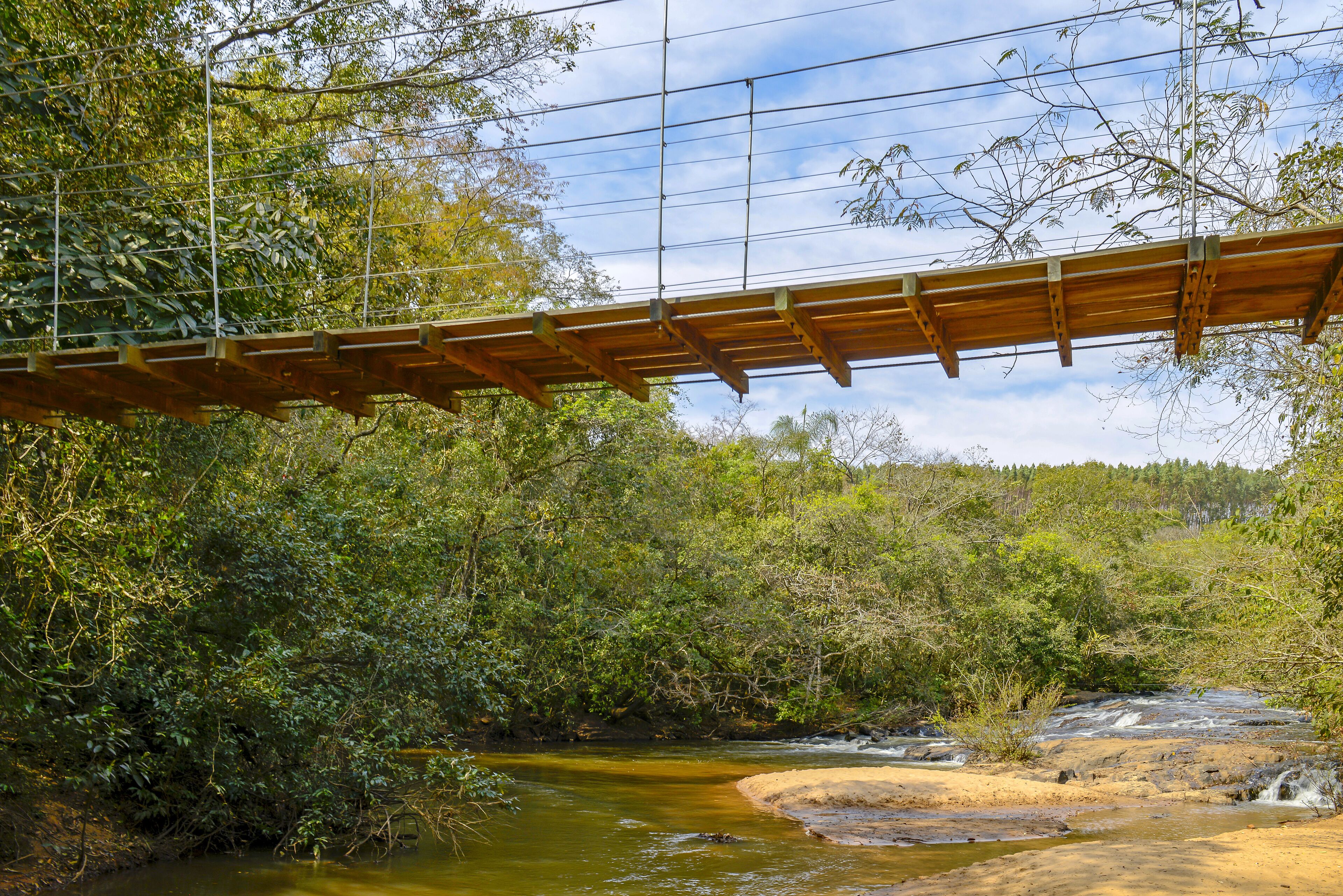 A wooden bridge over a river with dense foliage on either side.