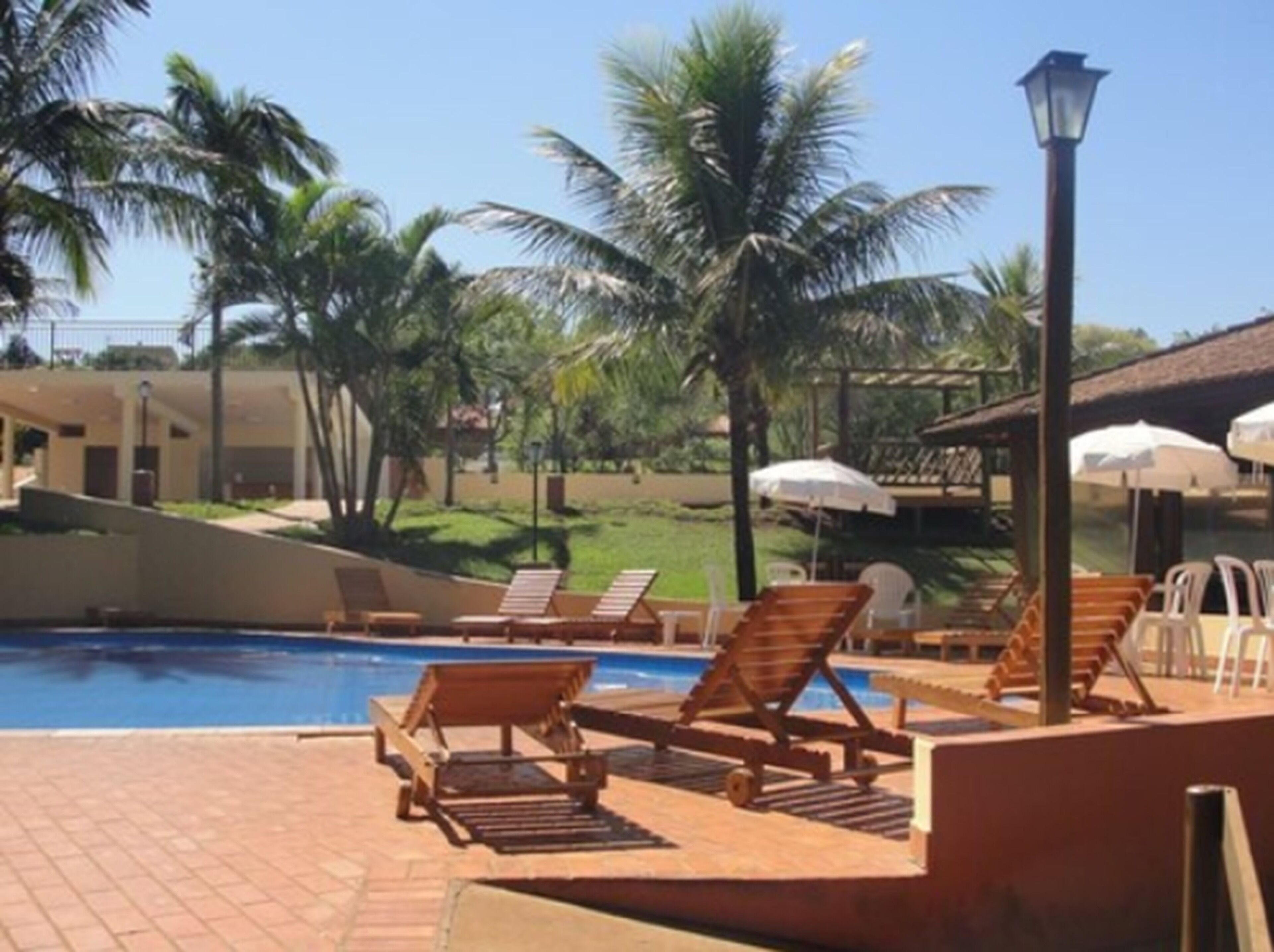 A poolside area with lounge chairs, umbrellas, and palm trees.