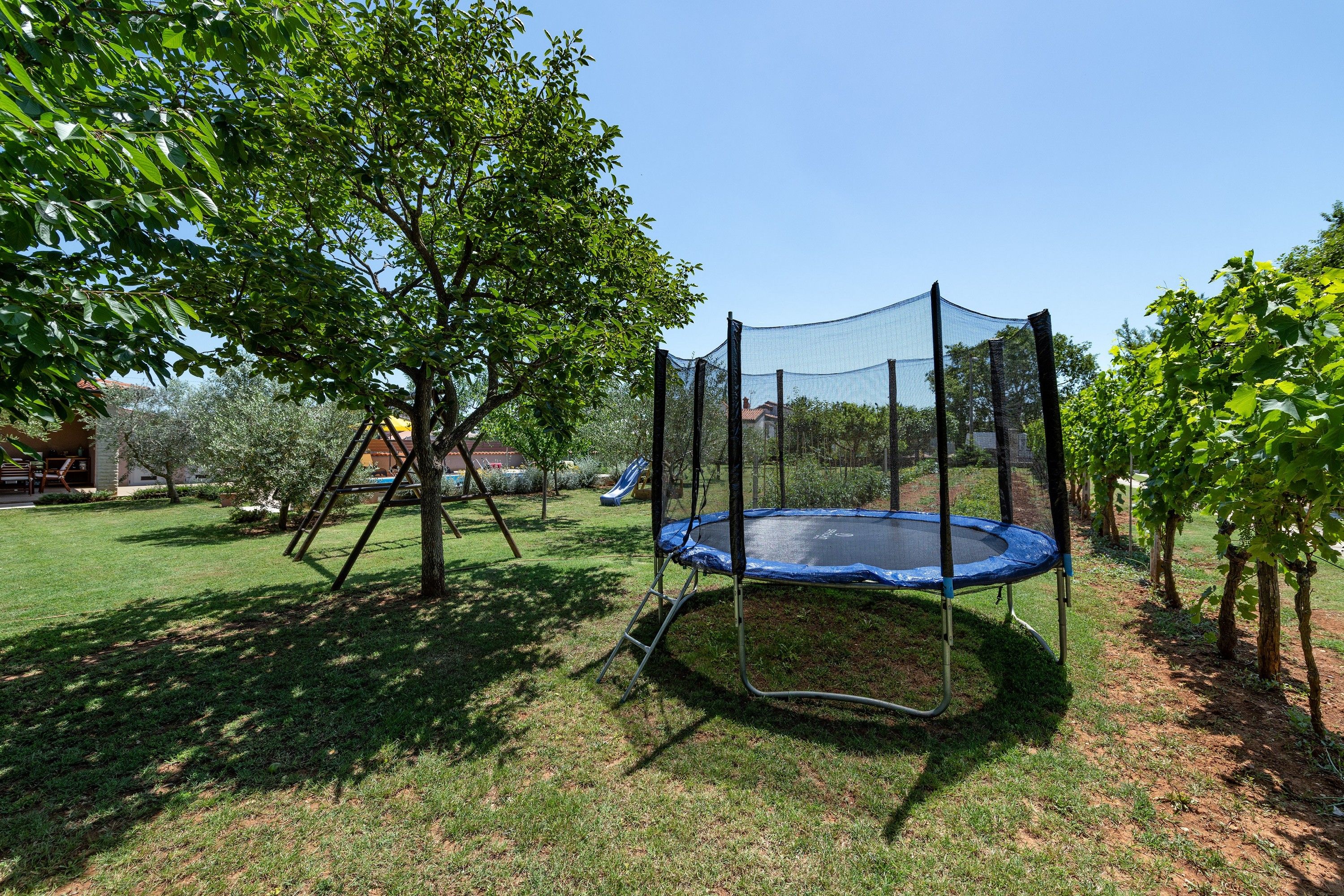 Een trampoline in een achtertuin, met een boom en een huis op de achtergrond.