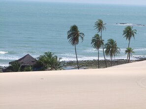 A beach with sand dunes, palm trees, and a thatched-roof structure. - Pousada Aconchego de Genipabu (Extremoz)