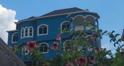 Blue Hills -Ocean View