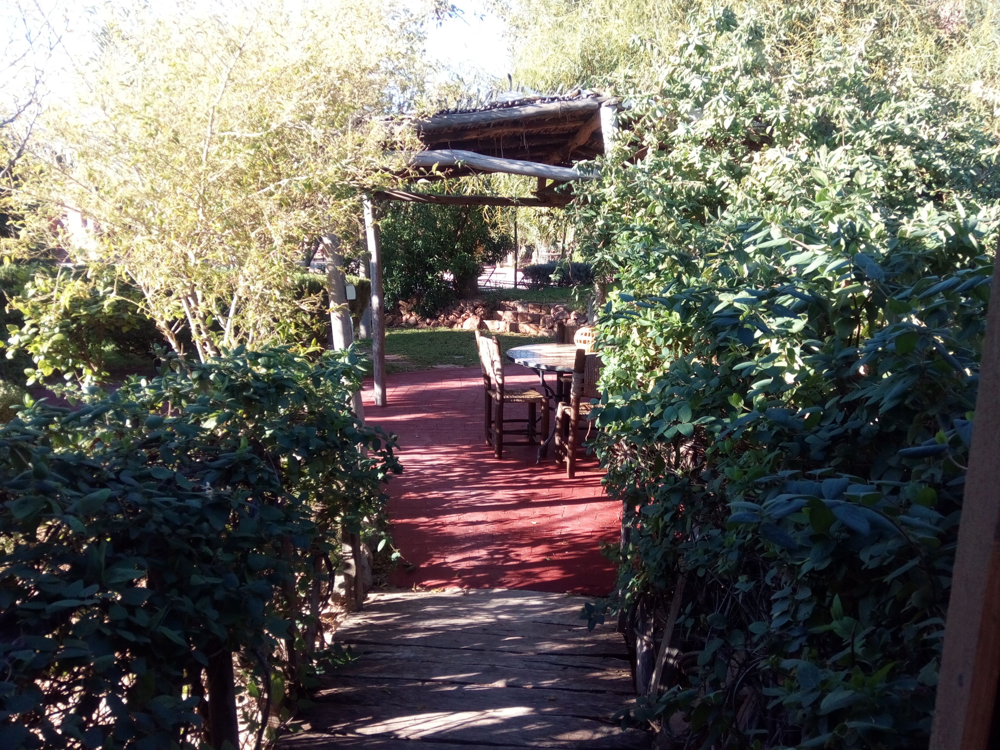 Teras/patio