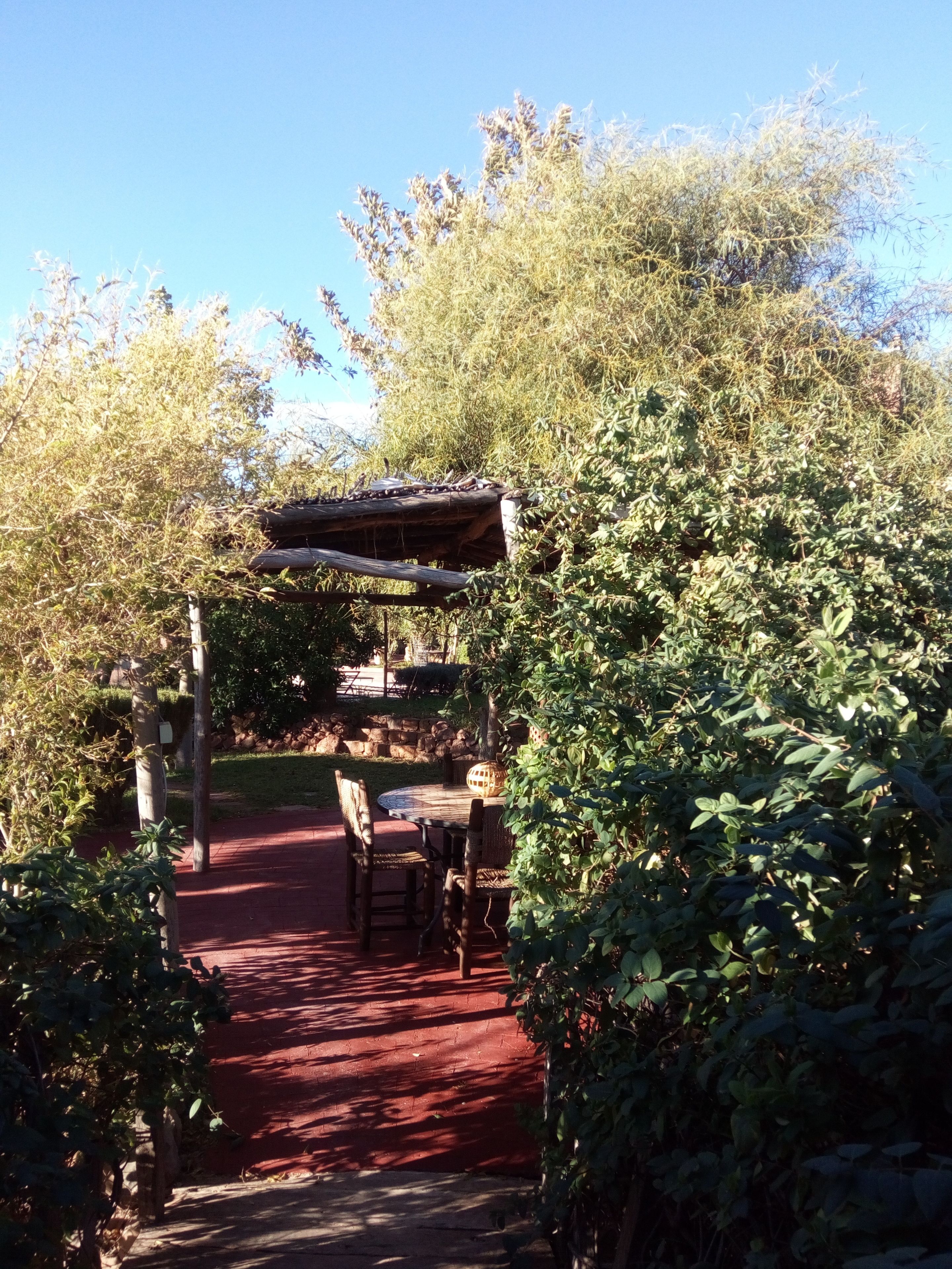 Un chemin mène à un espace extérieur abrité, aménagé avec une table et des chaises, et entouré de verdure.
