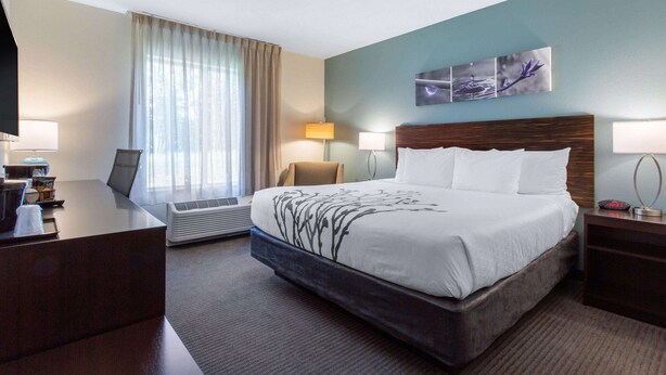 Hotelkamer met een groot bed, een bureau, een stoel, een bureaulamp, een aan de muur bevestigde televisie en een raam met gordijnen.