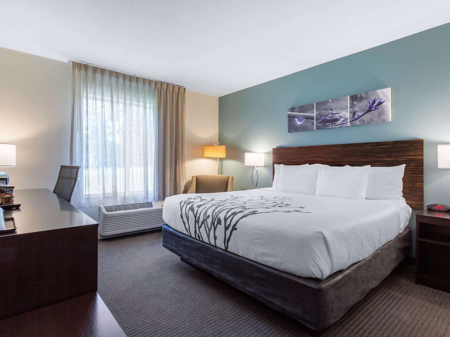 Room, 1 King Bed, Non Smoking | Desk, laptop workspace, blackout drapes, iron/ironing board