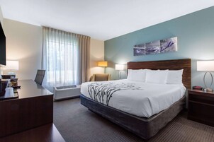 Room, 1 King Bed, Non Smoking | Desk, laptop workspace, blackout drapes, iron/ironing board