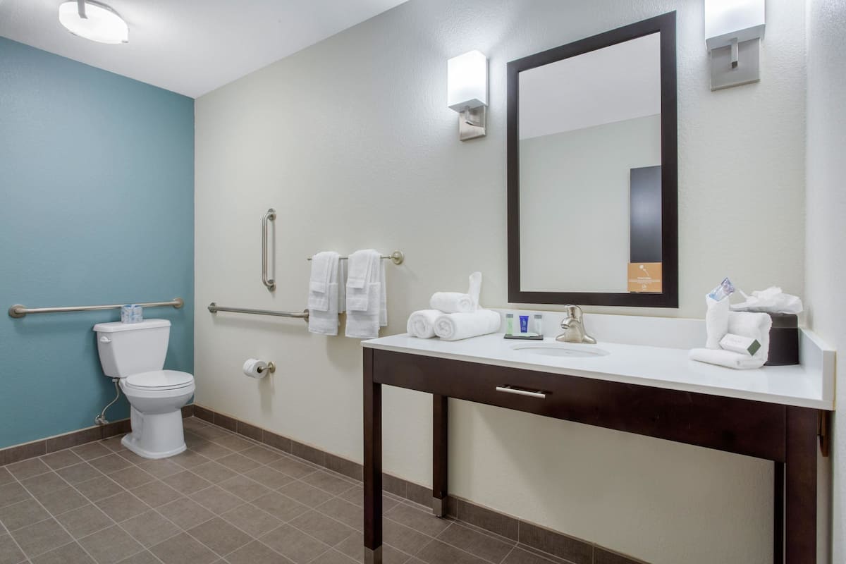 combined shower/bathtub, free toiletries, hair dryer, towels