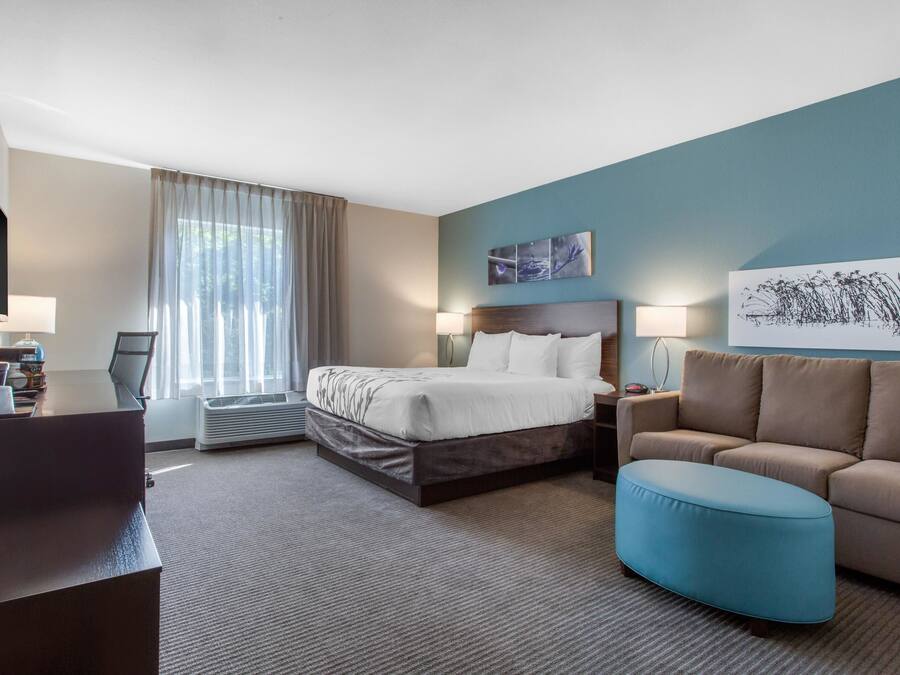 A hotel room with a bed, a sofa, a desk, and a large window with curtains.