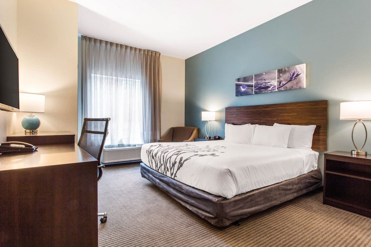A hotel room with a large bed, a desk with a lamp, a chair, and a TV.