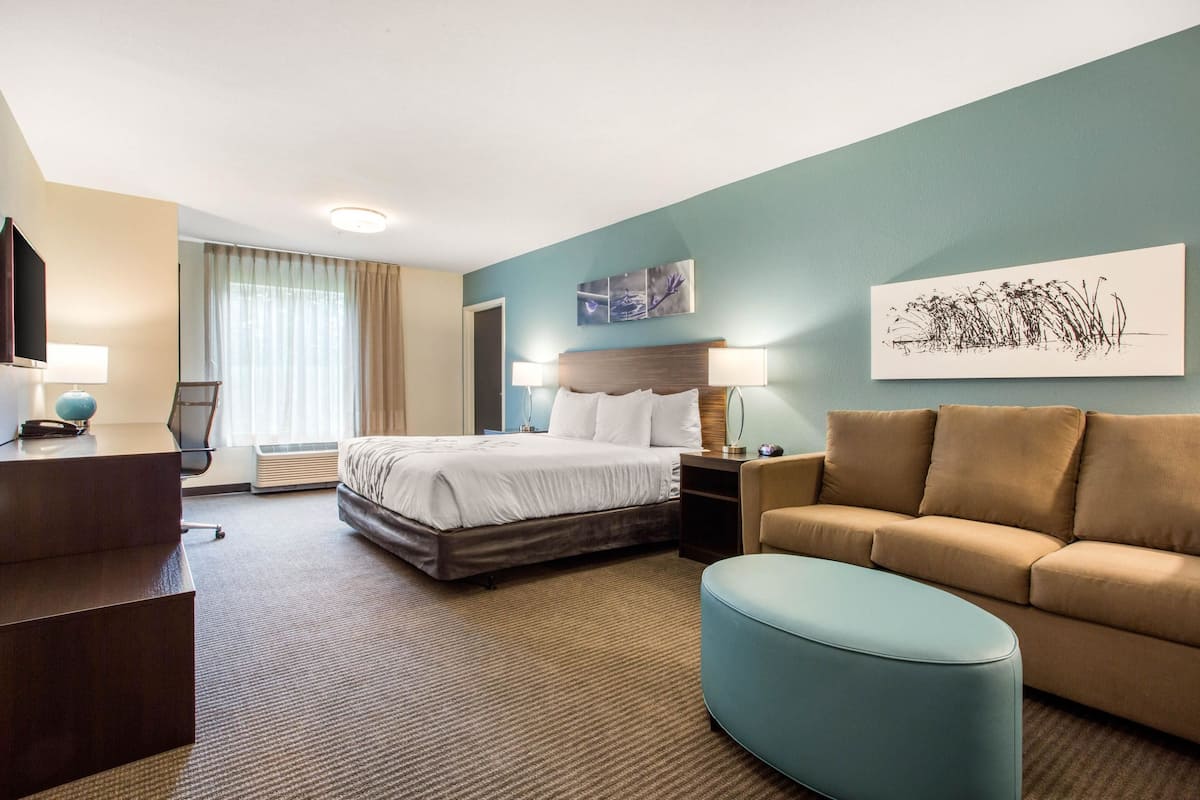 A hotel room with a bed, a sofa, a desk, and a TV.