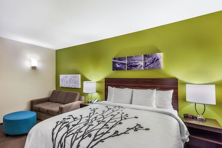 Suite, 1 King Bed with Sofa bed, Non Smoking | Pillowtop beds, desk, laptop workspace, blackout drapes. Sleep Inn & Suites Fort Worth - Fossil Creek