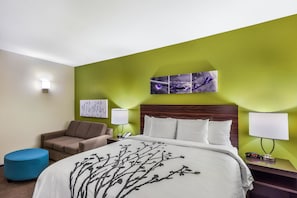 Suite, 1 cama King size y sofá cama, para no fumadores | Camas con pillow-top, escritorio y espacio para trabajar con laptop