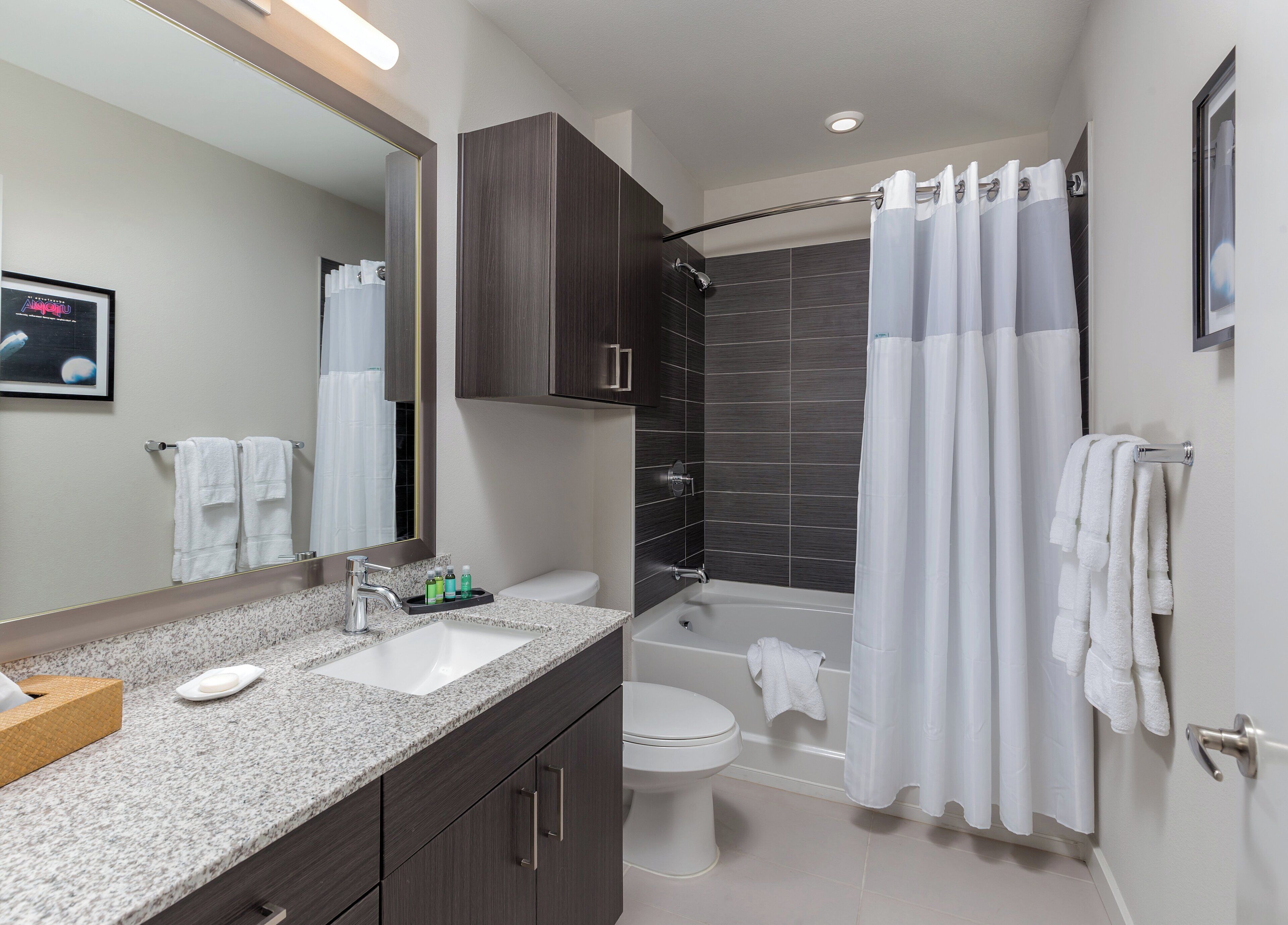 combined shower/bathtub, hair dryer, towels, soap