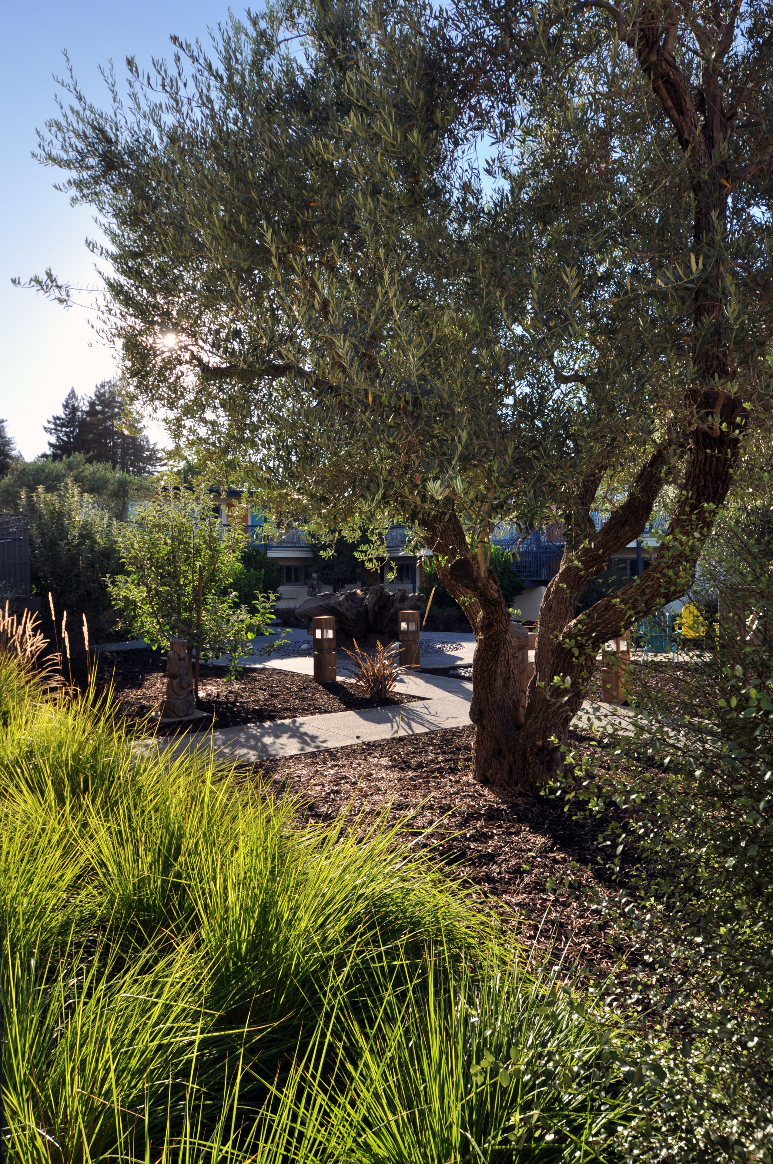 Deluxe Room, Accessible | View from room