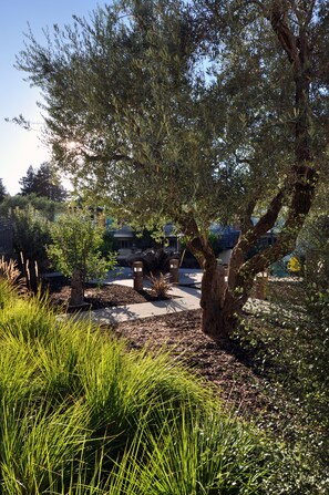 View from room - The Astro (Santa Rosa)