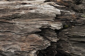 A close-up of a weathered, layered rock formation.