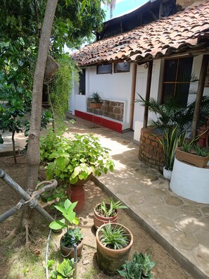 Terrace/patio - Casa de Los Berrios (León)