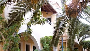 Un patio con sendero de piedra, plantas en macetas y un edificio con acceso en arco.