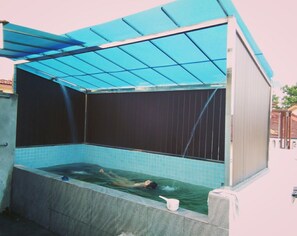 Piscine extérieure