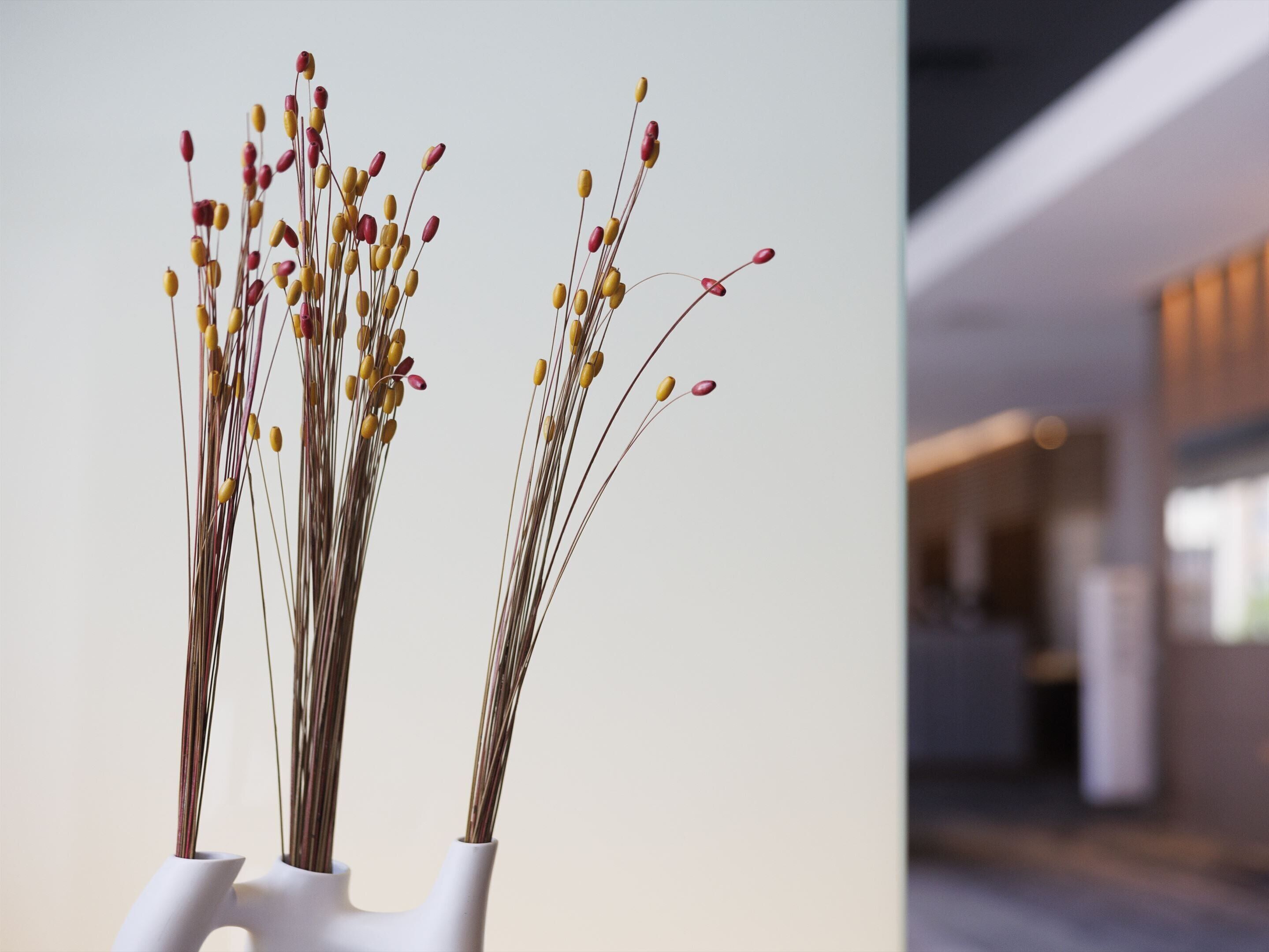 Un interior moderno con diseño minimalista, que presenta dos jarrones blancos con plantas secas.