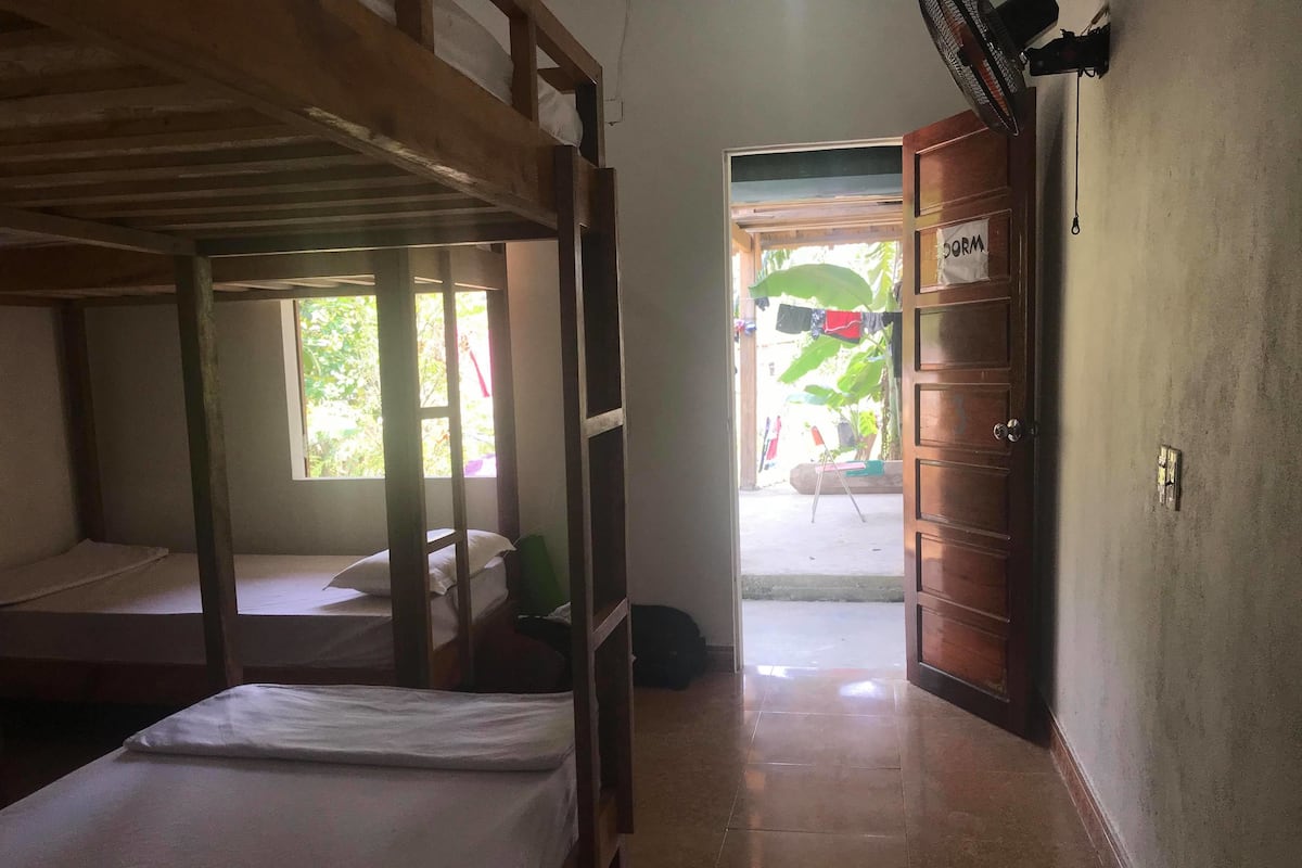 A room with bunk beds, a window with a view of greenery, and a door leading outside.