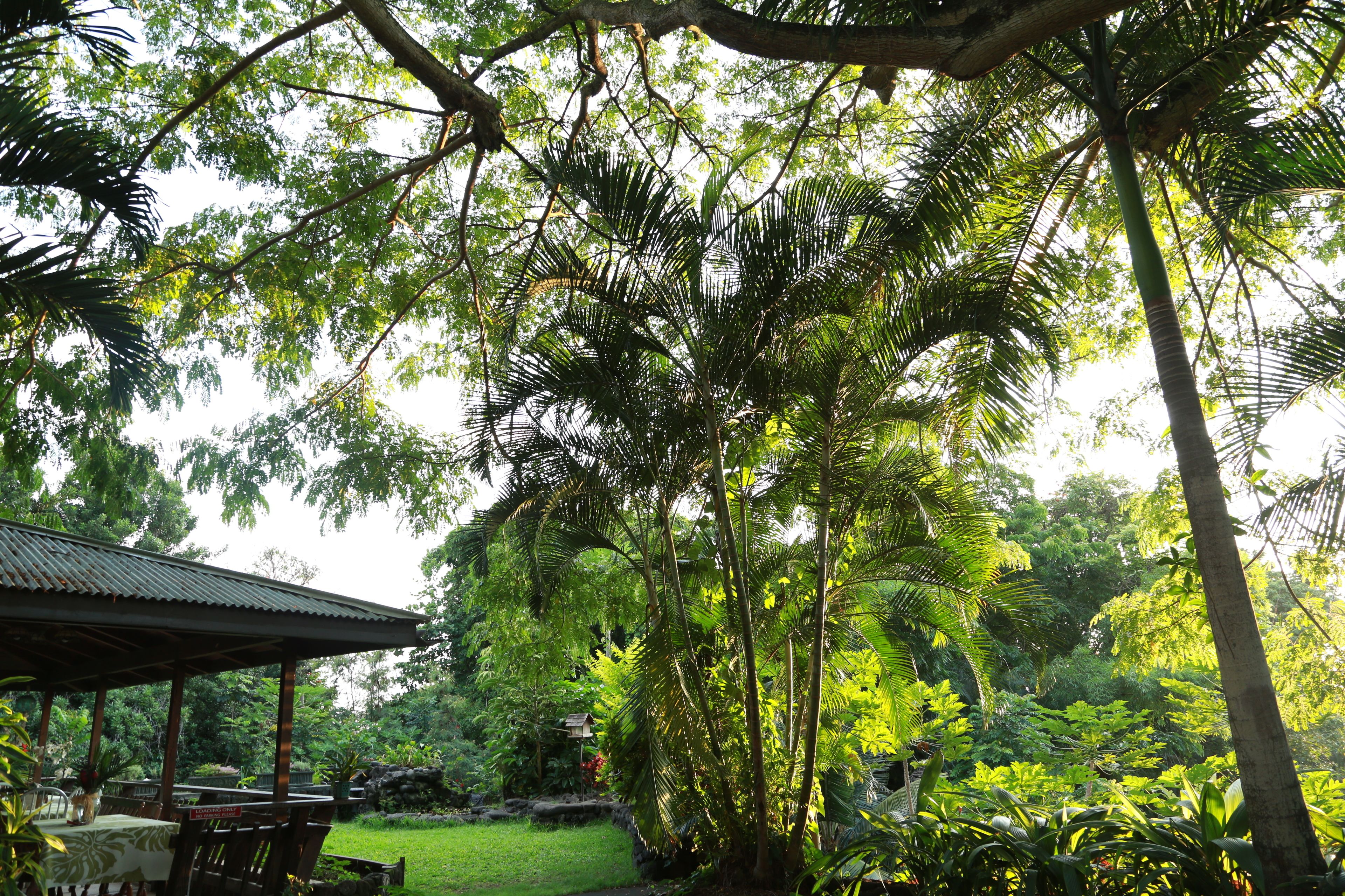 Foto - Hale Maluhia Country Inn